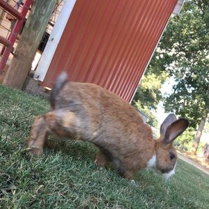 Meet your Posher, Vilmarie